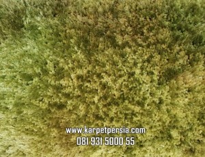 Karpet modern, karpet minimalis, karpet shaggy, karpet turki, karpet bulu, karpet modern
