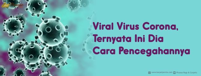 Viral Virus Corona, Ternyata Ini Dia Cara Pencegahannya